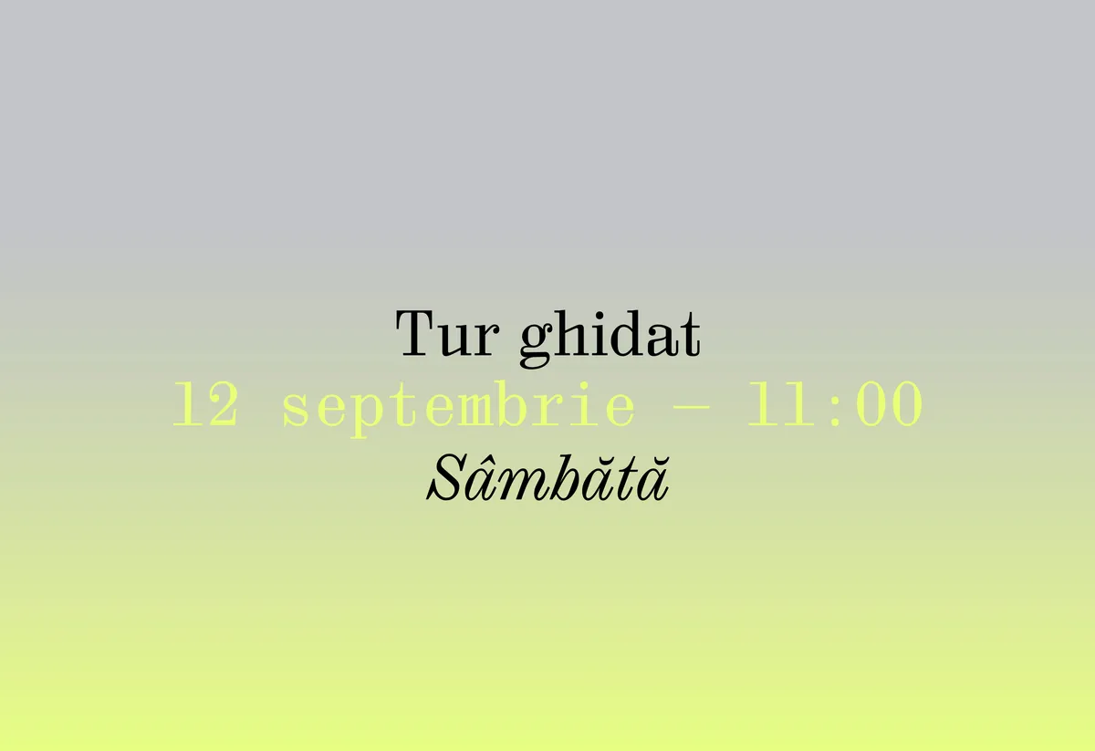 Tur ghidat