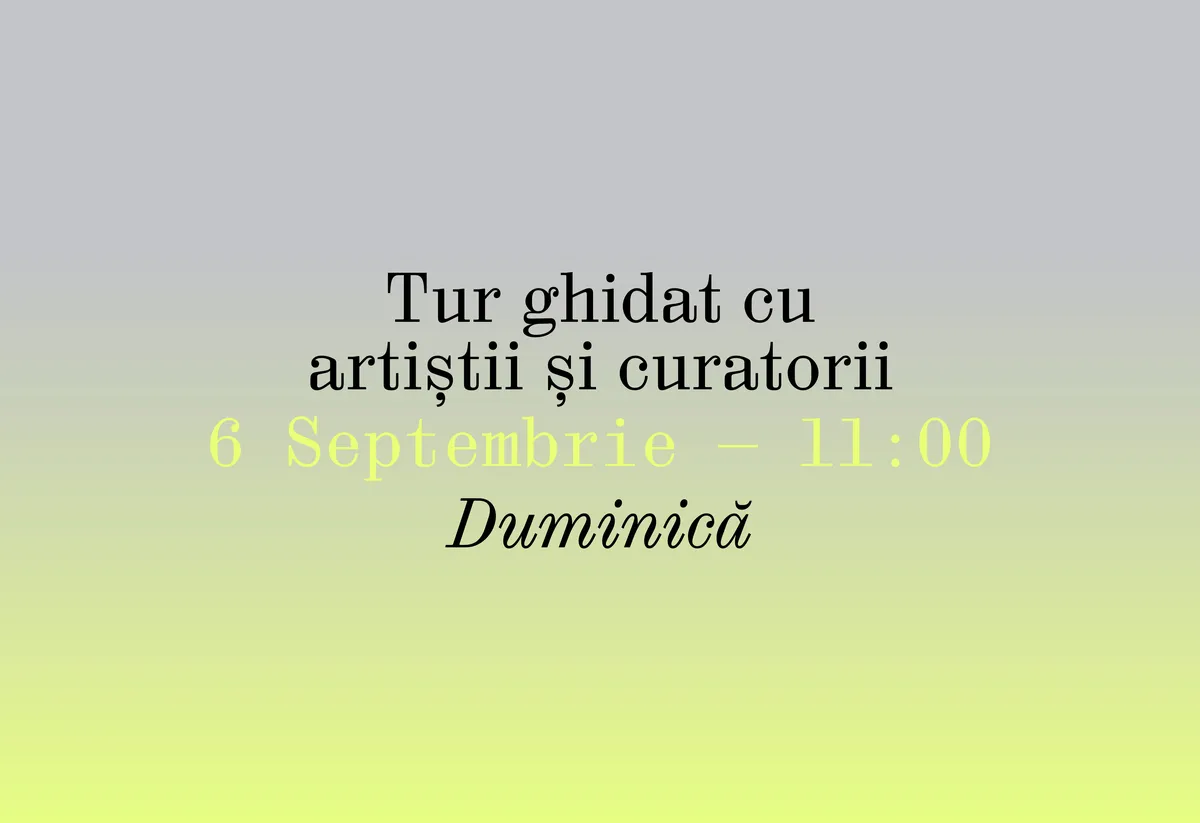 Tur ghidat #2 cu artiștii și curatorii