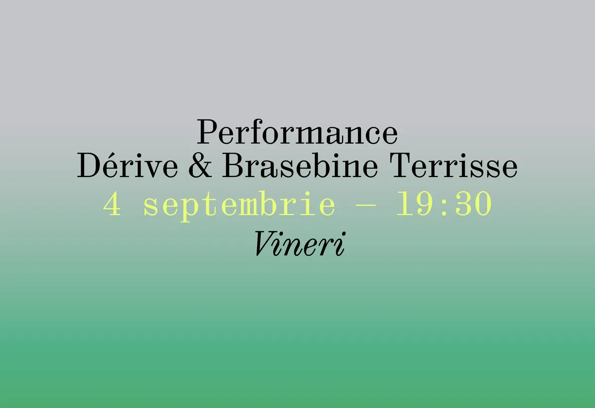 Performance Dérive & Brasebine Terrisse