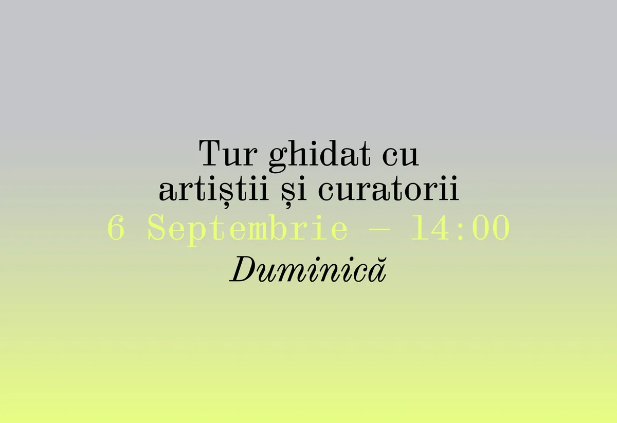 Tur ghidat cu artiștii și curatorii
