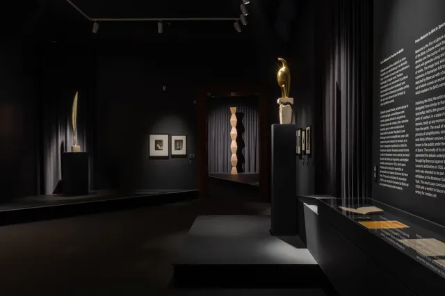 Constantin Brancusi: Romanian sources and universal perspectives