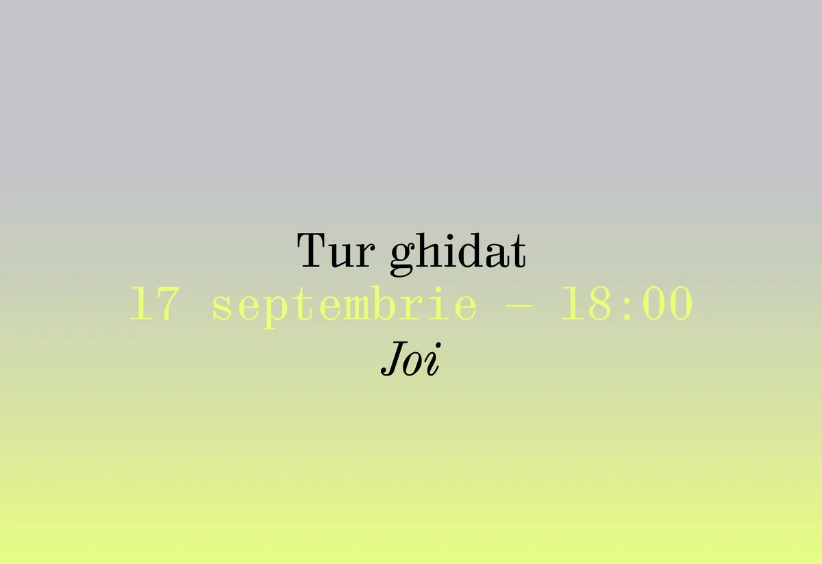 Tur ghidat 17 septembrie