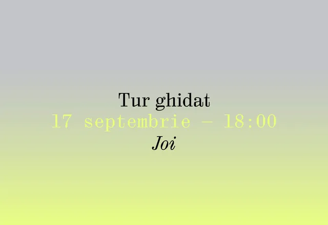 Tur ghidat 17 septembrie